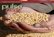 Fall • No. 61, 2010 · research 19 Focus on Research 21 Dry Bean Breeding Research 23 PCR Based Diagnostic for B. japonicum 24 AAFC Soybean Breeding for MB 25 Dry Bean Pathology