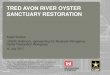 TRED AVON RIVER OYSTER SANCTUARY RESTORATION  · PDF file TRED AVON RIVER OYSTER SANCTUARY RESTORATION 1 File Name. RESTORATION PLAN BY ACREAGE File Name 2 Treatment Total Planned
