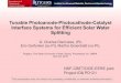 Tunable Photoanode-Photocathode-Catalyst Interface Systems … · 2016. 4. 29. · Tunable Photoanode-Photocathode-Catalyst Interface Systems for Efficient Solar Water Splitting