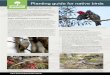 Planting guide for native birds - Greening Australia · Large birds Some of the larger birds, including magpies, ravens, currawongs and kookaburras eat reptiles, small mammals, insects
