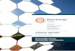 ANNUAL REPORT - New Energy Solar · On behalf of New Energy Solar Limited and Walsh & Company Investments Limited (the Responsible Entity or Walsh & Company), it is our pleasure to