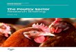 The Poultry Sector Research Briefing Documents/18-053-The... · Poultry meat and eggs hold roughly equal shares of total Welsh agricultural production value, with 2.8% for poultry