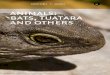 ATATANAfo learln animals: bats, tuatara and others...bats, tuatara and others Although birds and fish are our best known animals, and bugs have the biggest numbers we have some very
