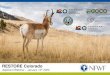 NFWF 101 PowerPoint Presentation · 2020. 1. 25. · elk, deer, pronghorn, bighorn sheep and moose within the boundaries of the Colorado Habitat Partnership Program. •Fence removal