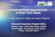 Intermunicipal Agreements in New York State · Efficiency 3. Equity 4. Feasibility 5. Environmental & Social Impacts 6. Measuring Success 7. Final Remarks . 1. BACKGROUND ... Intergenerational