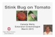 Stink Bug on Tomato · 2017. 12. 22. · Stink bug control on tomato Product Rate Limit (@ max rate) PHI Warrior (Matador) 1.28-1.92 ﬂ oz/A 12 aps 5 days Actara 25WDG 3.0-5.5 oz/A