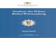 Struktur der Polizei Baden-Württemberg · 2013. 6. 11. · 4 Aktuelle Struktur der Polizei Baden-Württemberg 11 5 Vorgehensweise 13 6 Überblick über bisherige Organisationsreformen