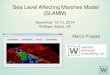 SLAMM Sea Level Rise Affecting Marshes Model...SLAMM Sea Level Affecting Marshes Model • Simulates the dominant processes involved in wetland conversions under different scenarios