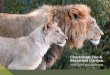 2015-2016 Annual Report - Cincinnati Zoo and Botanical Gardencincinnatizoo.org/wp-content/uploads/2016/12/CZBG_Annual... · 2016. 12. 29. · received during the 2016 fiscal year