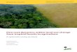 Fine root dynamics within land-use change from tropical forests … · 2016. 2. 10. · Tropical Silviculture and Forest Ecology, Faculty of Forest Sciences and Forest Ecology, Georg-August-Universität