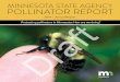 MINNESOTA STATE AGENCY POLLINATOR REPORT Draft · of the interagency pollinator framework developed in the 2018 report: Based on the scorecard metrics and other available information,