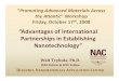 “Advantages of International Partnerships in Establishing Nanotechnology” · 2008. 10. 19. · “Advantages of International Partnerships in Establishing “Promoting Advanced