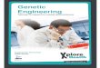 Genetic Engineering - Xplore Health · PDF file Genetic Engineering - 14 - 4. Using the 200 µl micropipette (with a new tip each time), add the bacteria (100-200 µl) from tubes 1