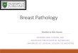 Breast Pathology - doctor2017.jumedicine.com · Breast Pathology NISREEN ABU SHAHIN, MD ASSOCIATE PROFESSOR OF PATHOLOGY UNIVERSITY OF JORDAN, SCHOOL OF MEDICINE Modiﬁed by Nour