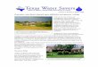 Greywater reuse future depends upon definition and ... · A 25,000 gallon-per-day constructed wetlands wastewater treatment facility at San Antonio's Heritage Middle School supports