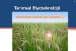 Tarımsal Biyoteknoloji · 2020. 3. 24. · endüstriyel proteinler (avidin, beta kazein, sıvı kristal polimerleri, xylanase) gibi ürünlerin geniş anlamda üretilebilmekte ve
