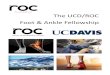 The UD/RO Foot & Ankle Fellowship · the foot and ankle associated with trauma, congenital malformations, sports injuries, degenerative diseases, forefoot deformities, and diabetes