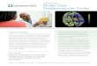 stroke care cerebrovascular center - Cleveland Clinic · 2014. 9. 2. · neurologists conduct fast but thorough patient evaluations. Further, cleveland clinic has been recognized