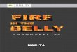 Fire in The Belly - KopyKitab€¦ · discovering my ‘fire in the belly’ was that . the more you share, the more you gain. So, here I am sharing my learning with you through this