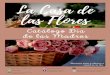 Catálogo Día de la Madre La Casa de las Flores 2020 Casa... · La Casa de las Flores Cascada con rosas rojas. Precio: ₡ 20.000 Caja con girasoles, rosas y botella de Welch´s