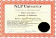 dreamersdo.netdreamersdo.net/.../file/Peter_Goryalov_Training_and_Consultancy-NL… · NLP University Global Training & Consulting Community Peter Goryalov Hereby certifies has successfully