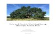 Oak and Prairie Working Group Strategic ... - The Intertwine · Since 2012, The Intertwine Alliance’s Oak Prairie Working Group (OPWG) has been collaborating to address the need