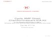 Cyclic AMP Direct Chemiluminescent EIA Kit · Cyclic AMP Direct Chemiluminescent EIA Kit Cat. No. KT-716 BACKGROUND Adenosine-3’,5’-cyclic monophosphate, or cyclic AMP (cAMP),