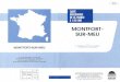 MONTFORT SUR-MEUficheinfoterre.brgm.fr/Notices/0316N.pdf · 2010. 10. 27. · SUR-MEU 62 ANNEXE 4 : COLONNE LITHOSTRATIGRAPHIQUE SYNTHÉTIQUE (hors texte) LISTE DES FIGURES Pages