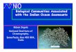 Biological Communities Associated with the Indian Ocean ... · Biological Communities Associated with the Indian Ocean Seamounts Baban Ingole National Institute of Oceanography, Dona