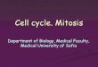 Cell cycle. Mitosis - deos.mu-sofia.bgdeos.mu-sofia.bg/remote_edu_prep/prep_biology_en_nikolova/17_Cel… · Cell cycle. Mitosis Department of Biology, Medical Faculty, Medical University