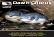 DDawn Chorusawn Chorus - Tiritiri Matangi Island chorus/Dawn Chorus 87.pdf · Harbour Marina. BOOKINGS ARE ESSENTIAL! Phone 0800 360 347 or visit ... A map of the Unitec campus, showing