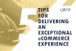 TIPS FOR DELIVERING AN EXCEPTIONAL eCOMMERCE … · 2016. 3. 4. · 4 Stop the search: this guide is that resource. With eCommerce technology like Shopify, BigCommerce and Volusion,