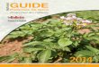 Pommes de terre - Le Bulletin des agriculteurs...pommes de terre pour le contrôle, pendant la période estivale, de l’alternariose (Alternaria solani) et du mildiou (Phytophthora