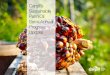 Cargill’s Sustainable Palm Oil Semi-Annual Progress Update€¦ · Cargill’s Sustainable Palm Oil Progress Update – December 2018 Transparency “China is the second largest