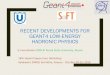 RECENT DEVELOPMENTS FOR GEANT4 LOW …RECENT DEVELOPMENTS FOR GEANT4 LOW-ENERGY HADRONIC PHYSICS V. Ivanchenko CERN & Tomsk State University, Russia14th Geant4 Space User Workshop
