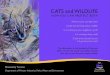 CATS and WILDLIFE and WILDLIFE Booklet (A… · Research tells us cats threaten wildlife Cats have been shown to prey on at least 400 species of native and introduced vertebrates