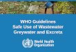 WHO Guidelines Safe Use of Wastewater Greywater and Excreta€¦ · Direct Health Effects Disease outbreaks (food, water and vector borne) Persistent diseases (e.g. intestinal helminth
