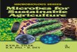 Microbes for Sustainable Agriculture€¦ · Certain nitrogen-fixing bacteria like Azotobacter, Beijerinckia, Azospirillum, Acetobacter diazotrophicus and photosynthetic nitrogen-fixing