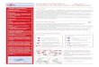 Inclusioni eritrocitarie: MQZH 2008-01 Aggiornamento ... · anemia sideroacrestica (=alterata uti-lizzazione del ferro), anemia emolitica, anemia megaloblastica, talassemia, anemia