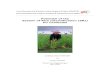 Potential of the System of Rice Intensification (SRI) for ...sri.ciifad.cornell.edu/countries/cambodia/CambGTZrptAnthofer04.pdf · Rural Development Program Kampot & Kampong Thom
