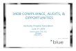 340B COMPLIANCE, AUDITS, & OPPORTUNITIES · 2019. 6. 25. · manually adjust the accumulator. Other Opportunities 1) Review IT feeds to the 340B vendor to make sure all eligible departments