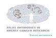 ATLAS ANTIBODIES IN BREAST CANCER RESEARCH · Ki67/MKI67 Anti-MKI67 AMAb90870 IHC Clinical markers (ESR1, HER2, Ki67, PGR) - established clinical breast cancer markers Ki67 IHC staining