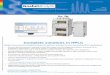 Complete solutions in HPLC - Complete solutions in HPLC Goebel Instrumentelle Analytikprovides the optimum