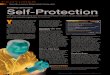 Self-Protection · Figure 1: Pendrivelinux running on Windows. FEATURES Security Lessons: Disposable Computers +) ... Avoiding cyberattack Self-Protection Kurt Seifried is an Information