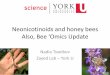 Neonicotinoids and honey bees Also, Bee ‘Omics …...Tsvetkov et al. 2017 Pollen ID Name Common Name NNI Present (%) NNI Absent (%) Salix Willow 21.98 8.56 Type Aster/Solidago Goldenrod