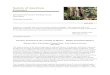 Society of American Foresters - orrforest.net · - Blair Orr, IFWG Chair (bdorr@mtu.edu) Contributed Articles Forestry Practices in the Yucatan of Mexico – Rapid Assessment Report