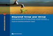 Beyond Crop per Drop - India Environment Portal Crop... · 2018. 6. 27. · Beyond Crop per Drop Scheierling and Tréguer INTERNATIONAL DEVELOPMENT IN FOCUS Beyond Crop per Drop Assessing