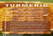 7 TIPS FOR TAKING TURMERIC€¦ · TURMERIC You know its golden ... Listen to your body. While the risk of side effects is low and drug interac-tions are unlikely, stop taking turmeric