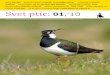 Svet ptic - DOPPSFotografija na naslovnici: Pribe (Vanellus vanellus) lahko na selitvi ... bljena nova naravovarstvena »bitka«; ni lepšega, ... zadovoljen, da je skupaj z drugimi