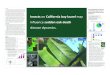 Insects California bay laurel · Non-Cognitive Predictors of Student Success: A Predictive Validity Comparison Between Domestic and International Students INTRO Leaves of California